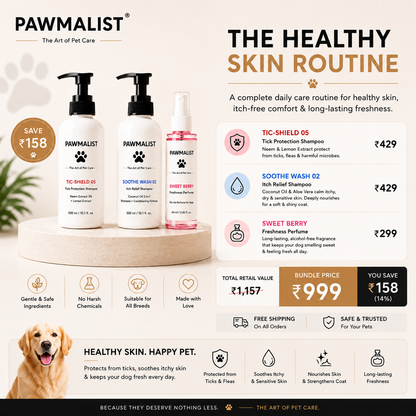 The Healthy Skin Routine