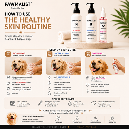 The Healthy Skin Routine